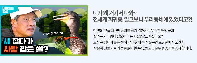 오산천 희귀종 촬영 고군분투