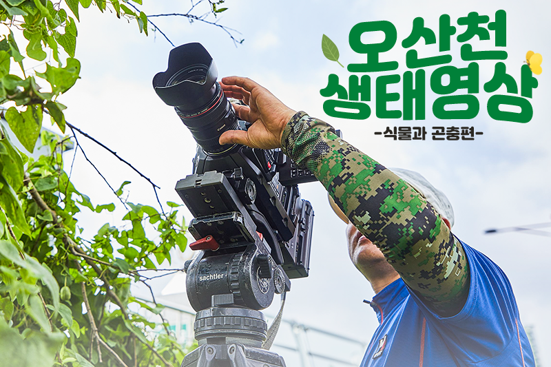 오산천 생태영상 -식물과 곤충편- 타이틀 이미지