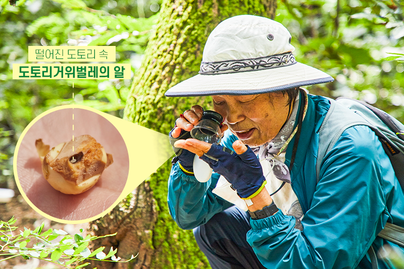 도심 하천 ‘오산천’ 속 곤충들만의 은밀한 이야기