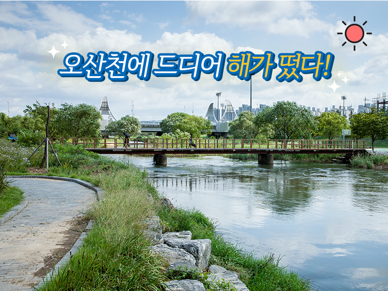 오산천에 해가 반짝 뜬 이미지