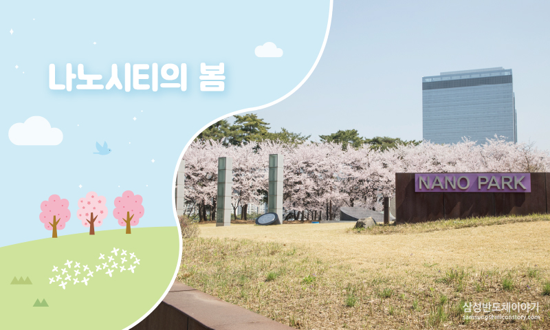 나노시티의봄
