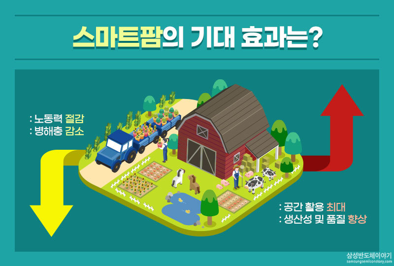 스마트팜의 기대 효과는 노동력 절감과 병해충 감소, 공간 활용 최대, 생산성 향상