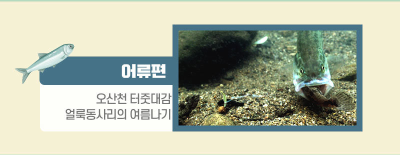 어류편 링크