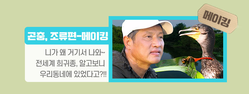 메이킹 링크