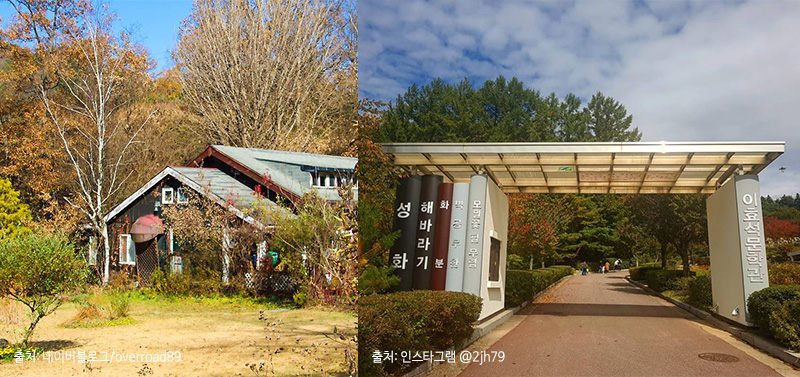 ▲(순서대로) 미술관 자작나무숲, 이효석문학관