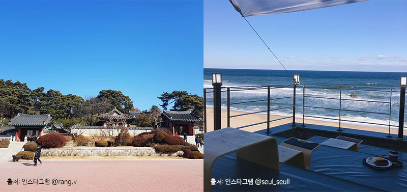 ▲(순서대로) 오죽헌, 안목해변 카페거리