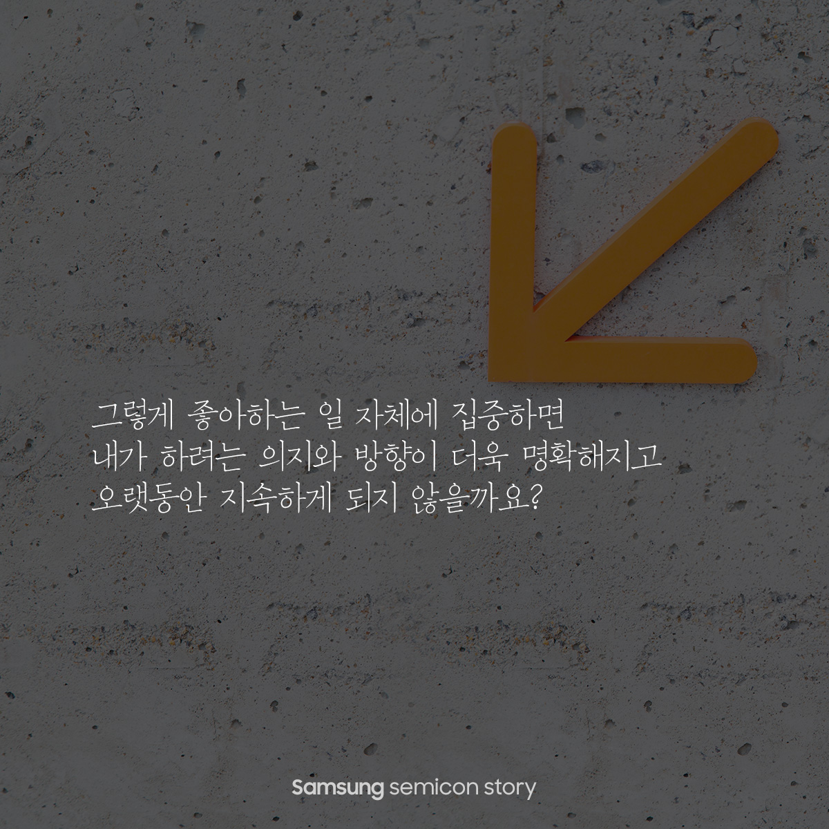 야학13