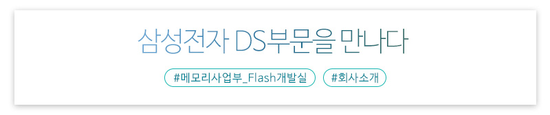 삼성전자 DS부문
