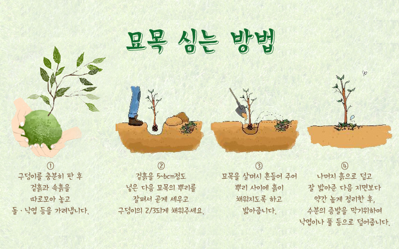 식목일2