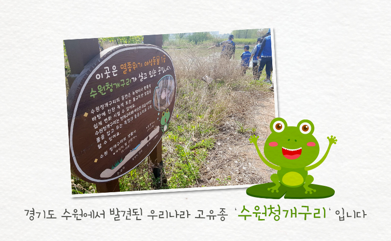 지구의 날, 수원청개구리 집 짓기 프로젝트2