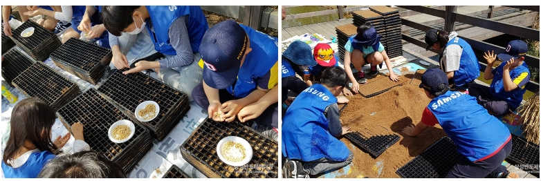 지구의 날, 수원청개구리 집 짓기 프로젝트4