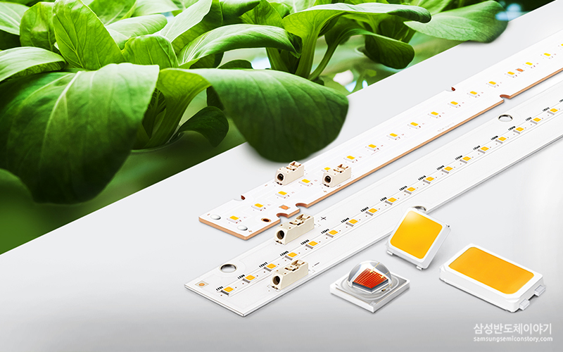  ▲ 삼성전자가 출시한 '식물생장용 LED 패키지 및 모듈' 제품