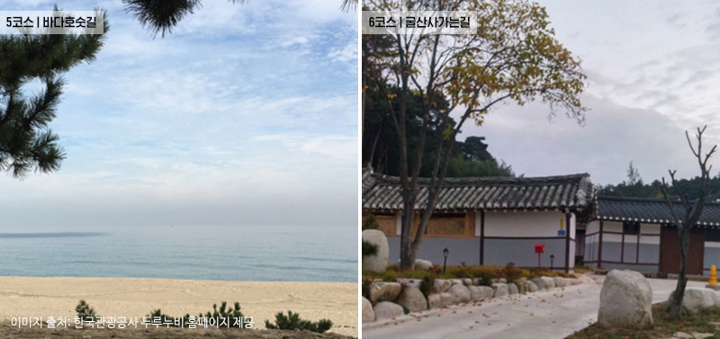 떠나기 좋은 계절, 전국의 걷기 좋은 길9
