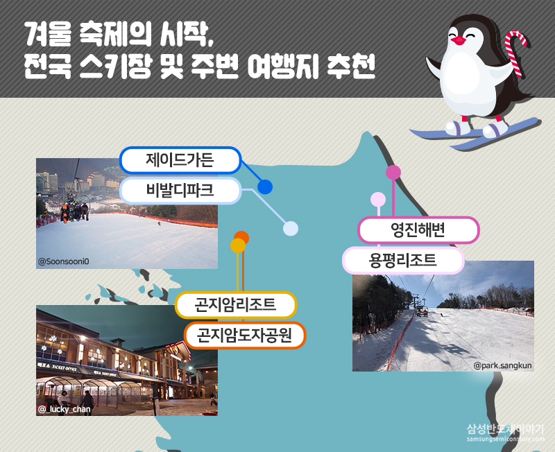 스키장 정보2