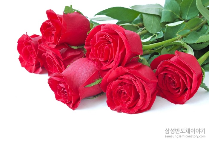 스무 살의 새 시작을 알리는 날, 성년의 날의 유래와 센스만점 선물은?