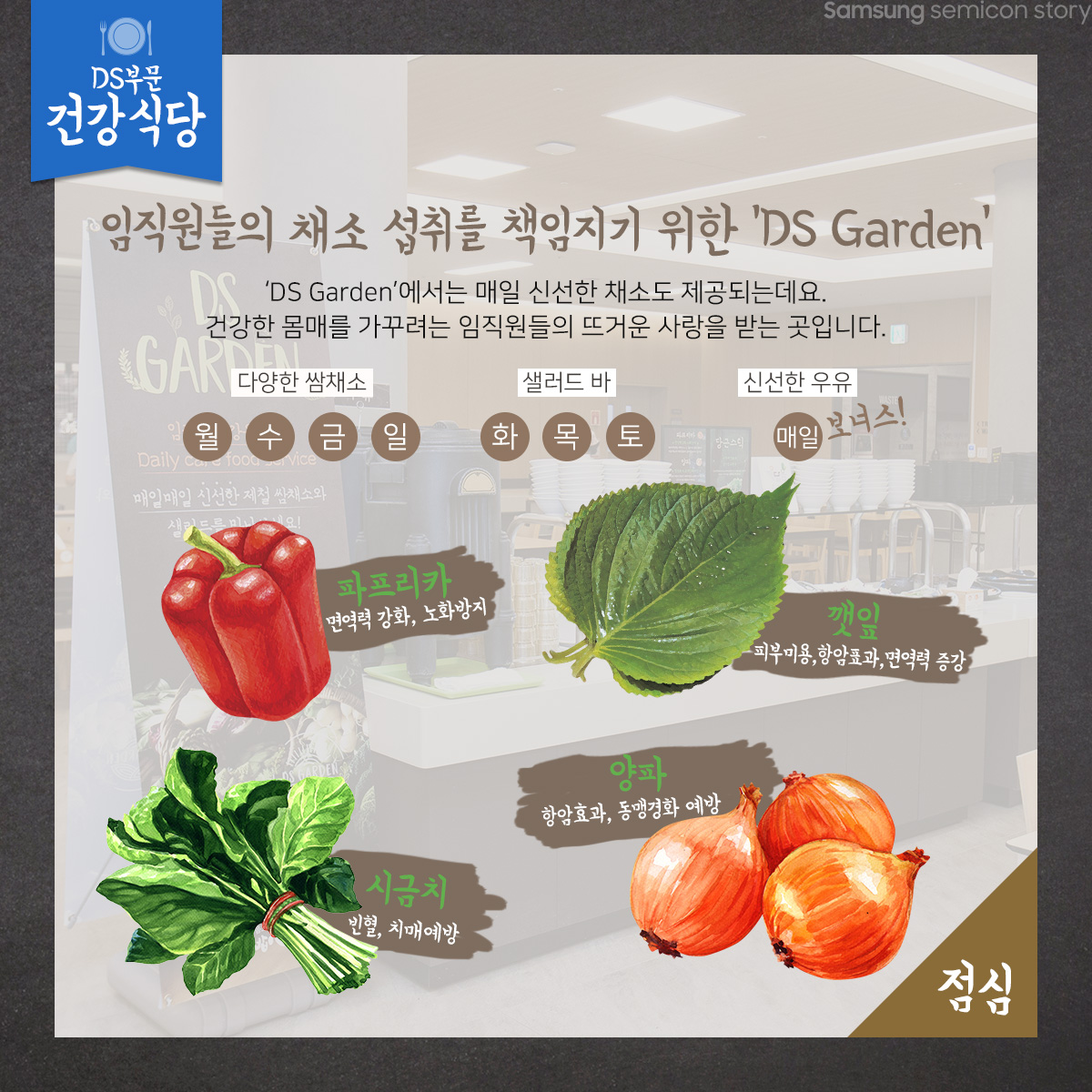 건강식당에서 제공하는 신선한 채소들