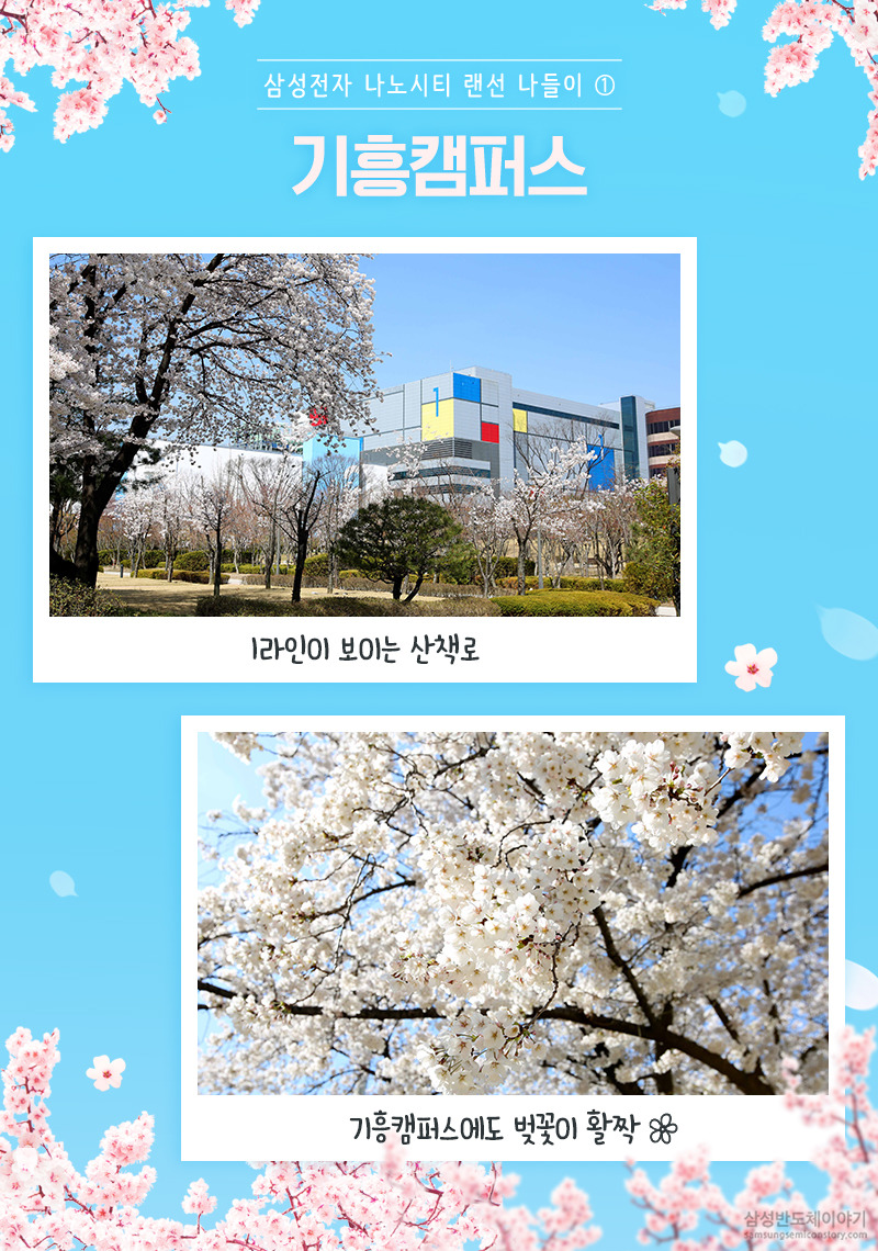 삼성전자 DS부문 캠퍼스에 봄이 활짝! - 기흥 캠퍼스


봄 기운이 완연한 요즘, 사회적 거리두기를 실천하기 위해 외출을 자제하는 분들이 많을 텐데요. 마음껏 꽃구경을 할 수 없어 아쉬운 마음이 가득한 여러분께 조금이나마 봄기운을 전달 드리고자 삼성전자 DS부문 나노시티 캠퍼스의 아름다운 봄 풍경을 준비했습니다. 기흥, 화성, 평택부터 천안, 온양캠퍼스까지 랜선 꽃구경을 시작해볼까요? 





봄이 와, 이 거리 위에~ 기흥캠퍼스









봄꽃 가득한 길, 화성캠퍼스









꽃송이가 가득 핀 온양/천안캠퍼스 









벚꽃 잎이 살랑이는 평택캠퍼스







캠퍼스에 활짝 핀 봄꽃을 보며 답답했던 마음이 조금 풀리셨나요? 모두 힘든 시기를 지나고 있지만 웃음꽃 잃지 않고 힘내시기 바랍니다. 






