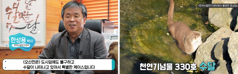한성용 박사의 수달에 관한 조언, 천연기념물 330호 수달