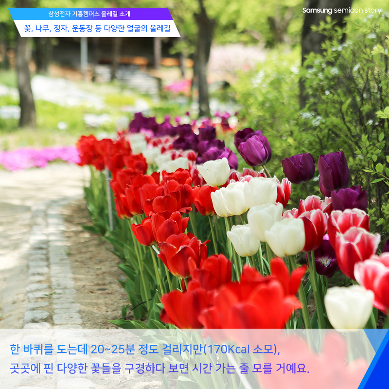 기흥캠퍼스 올레길 소개