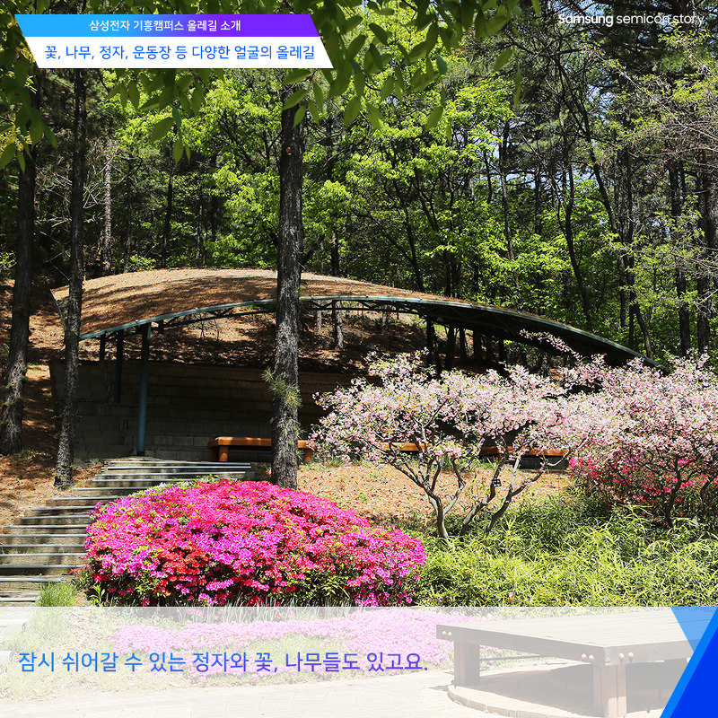 기흥캠퍼스 올레길 소개