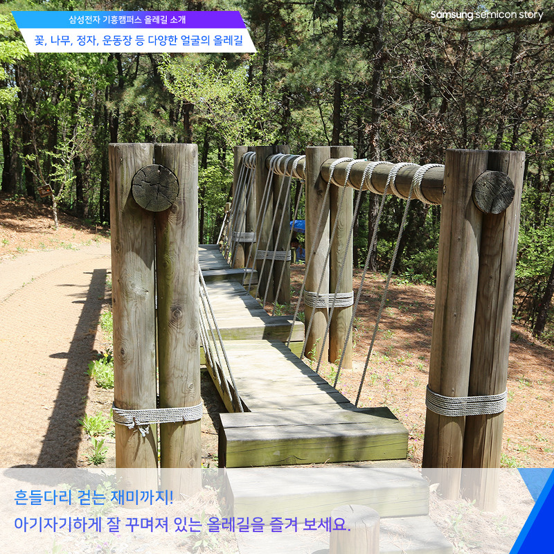 기흥캠퍼스 올레길 소개