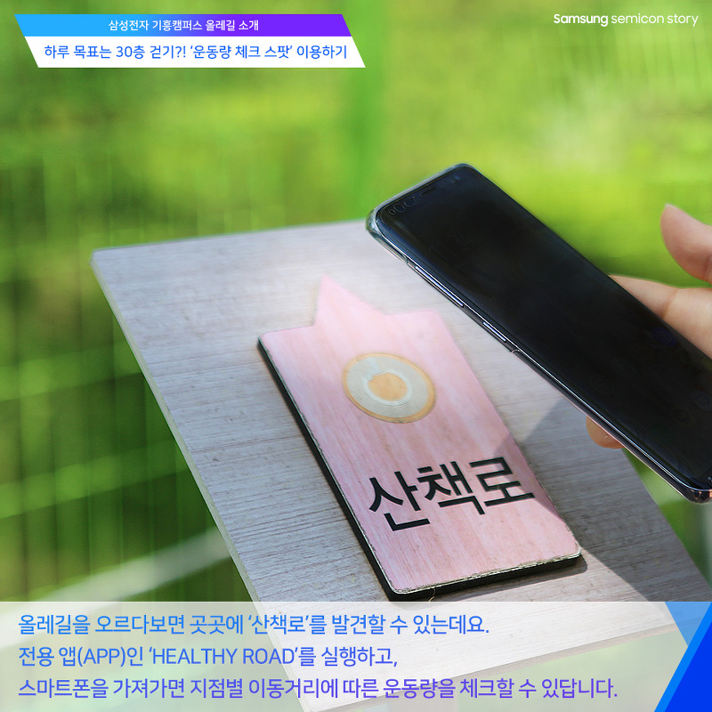 기흥캠퍼스 올레길 소개