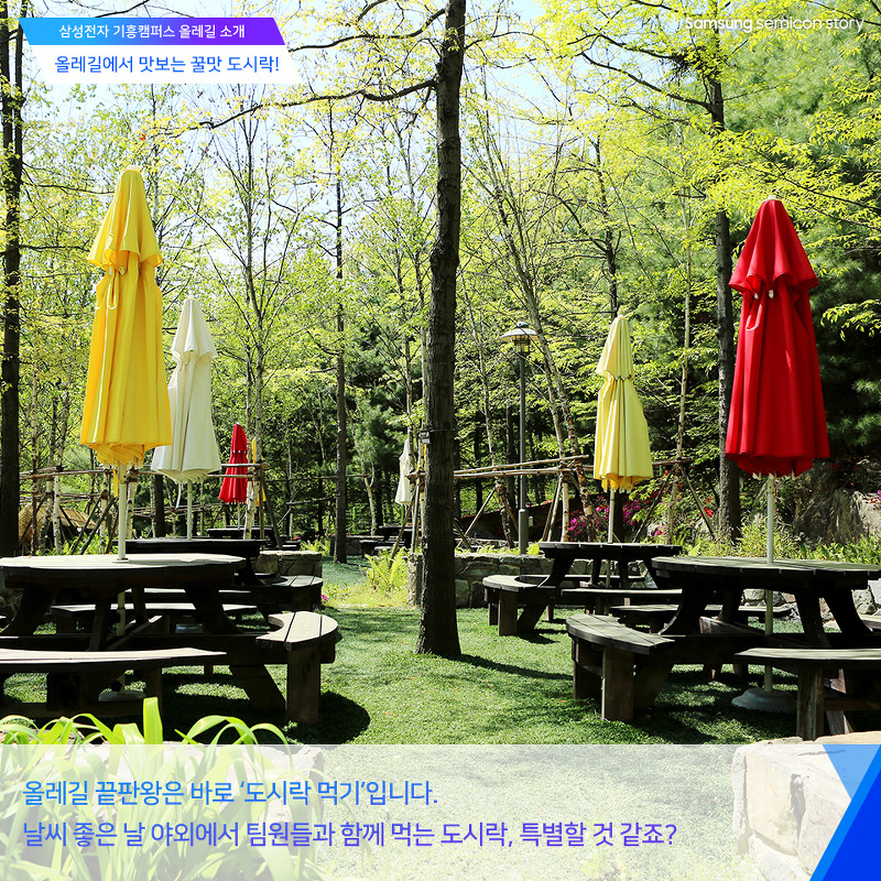 기흥캠퍼스 올레길 소개
