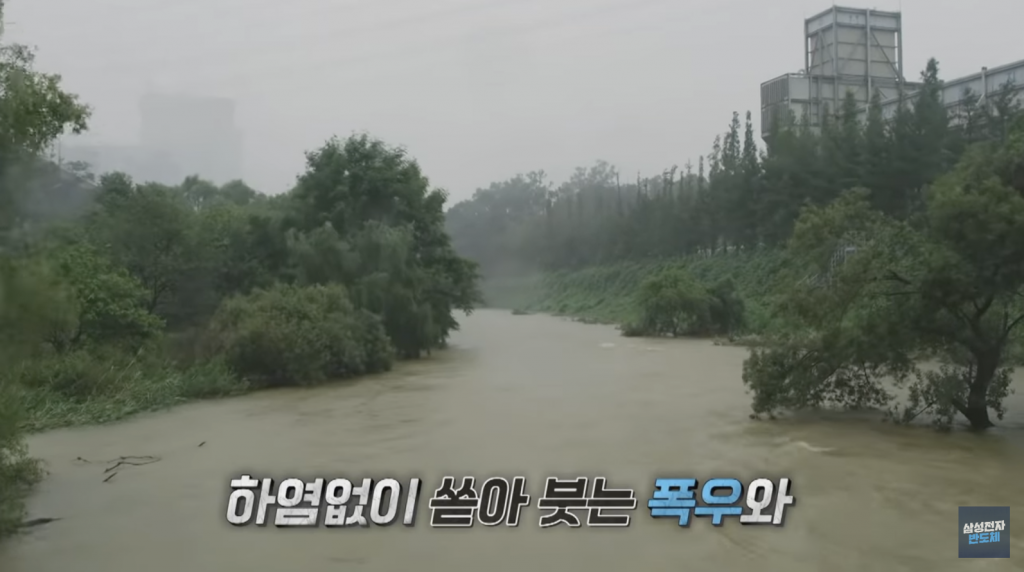 오산천 수달과 어류의 생태를 담기 위한 고군분투! 메이킹 대공개