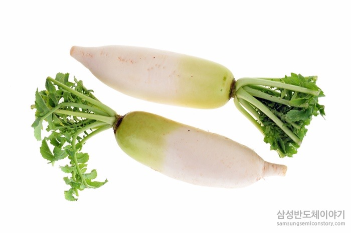 무 두개