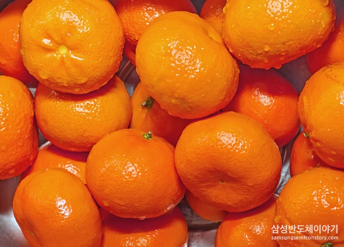 감귤 여러 개