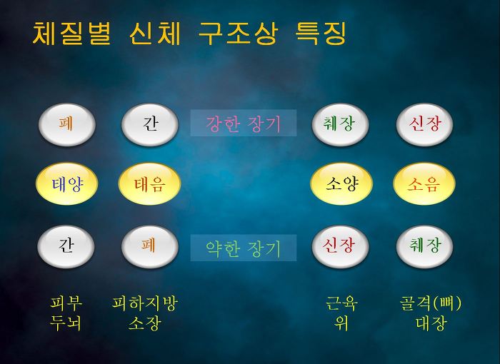 체질별 신체구조상 특징