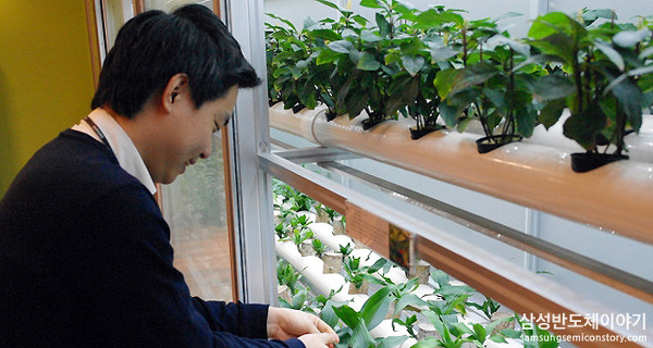 LED로 식물 재배까지?! 행복가든 L-garden을 소개합니다!