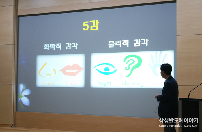 인간의 오감