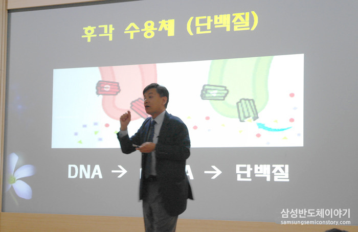 후각 메커니즘