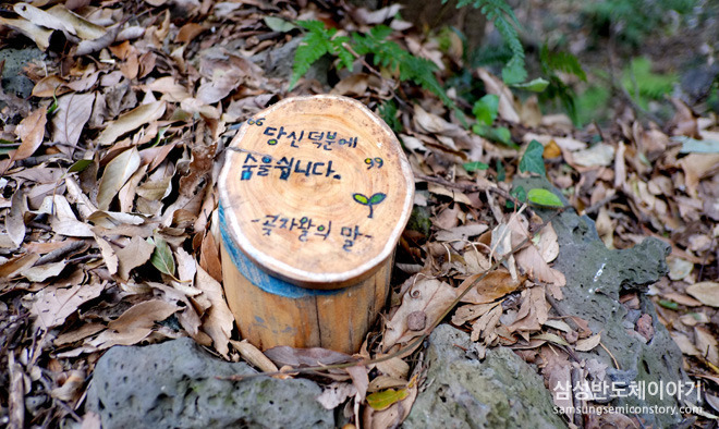 곶지왈의 말