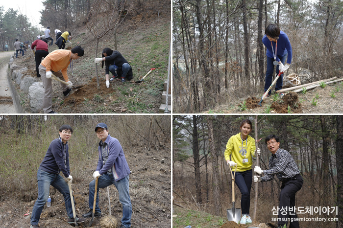 남자 사원, 여자 사원 나무 심기에 적극 동참