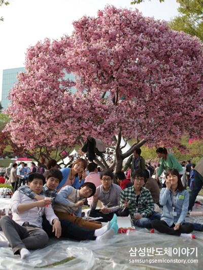 달리기도 끝났고 이제는 축제를 즐기는 일만 남았습니다!