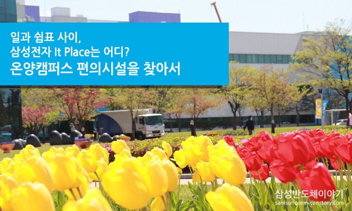 일과 쉼표 사이, 삼성전자 'It Place'는 어디?! - 2탄