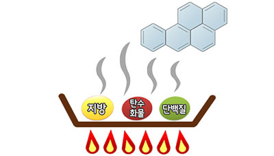 [홍기훈 직업환경의학 전문의 칼럼] 4탄. 벤조피렌