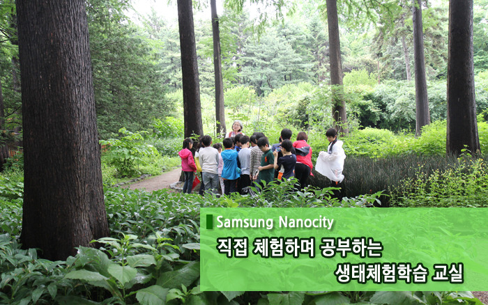 갯벌과 숲의 주인은 누구일까요? 친구들의 자연생태체험 학습기!