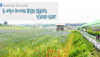 온 가족이 하나되는 특별한 농촌체험! '슬로우 캠프'