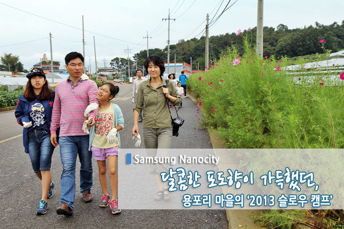 달콤한 포도향이 가득했던 용포리 마을의 ‘2013 슬로우 캠프’