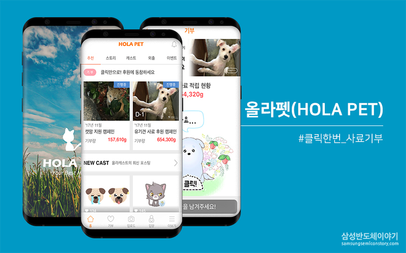 매일 한 번의 클릭으로 유기동물 사료 기부, 올라펫