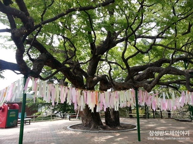 (출처: 한국도로공사 블로그)