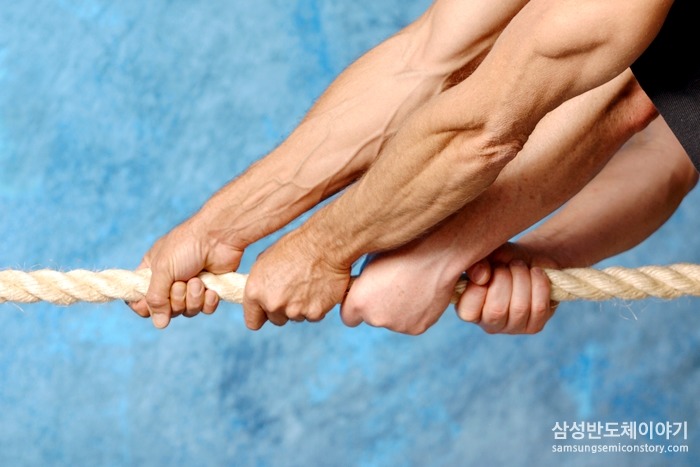 줄다리기를 하는 모습