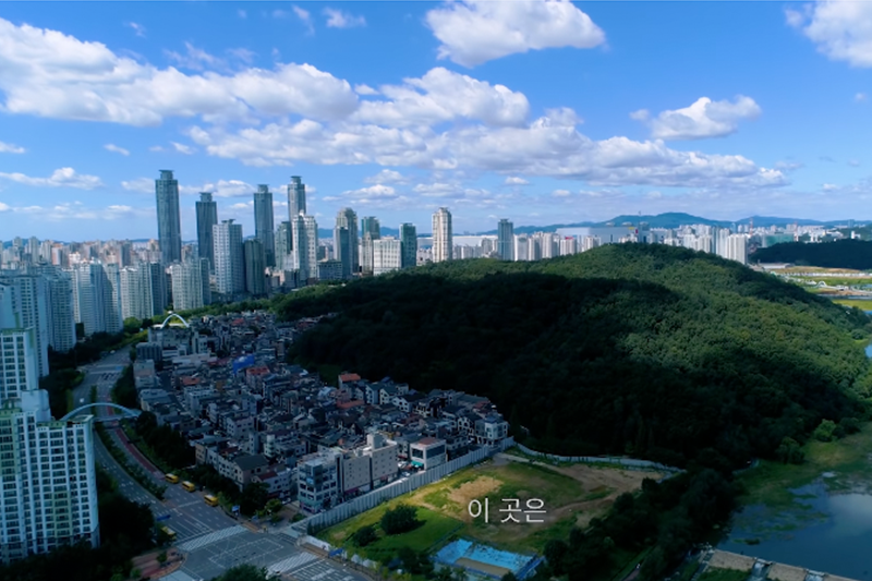 오산천은 동물농장?! 동물의 왕국으로 변한 오산천 속 귀여운 생명체 모음zip