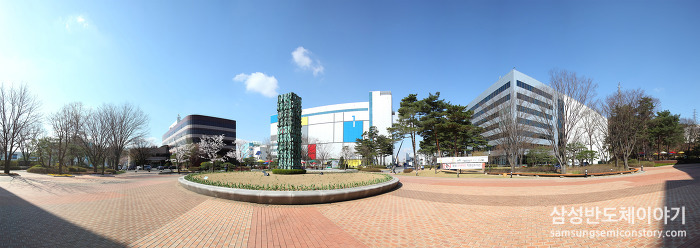 삼성 기흥캠퍼스와 화성캠퍼스 곳곳의 봄철 풍경
