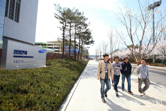 삼성 기흥캠퍼스와 화성캠퍼스 곳곳의 봄철 풍경