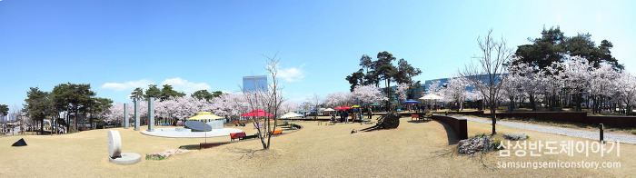 삼성 기흥캠퍼스와 화성캠퍼스 곳곳의 봄철 풍경