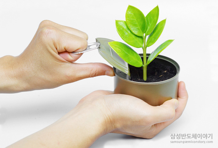 캔에 심겨진 화초